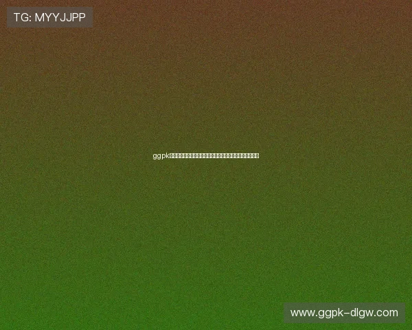 ggpk数字站：汇聚海量游戏数据包，满足不同玩家的多样化需求